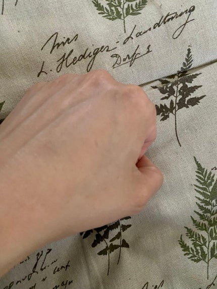 ラスティングマルチアイベース WP/キャンメイク/アイシャドウベースを使ったクチコミ(4枚目)