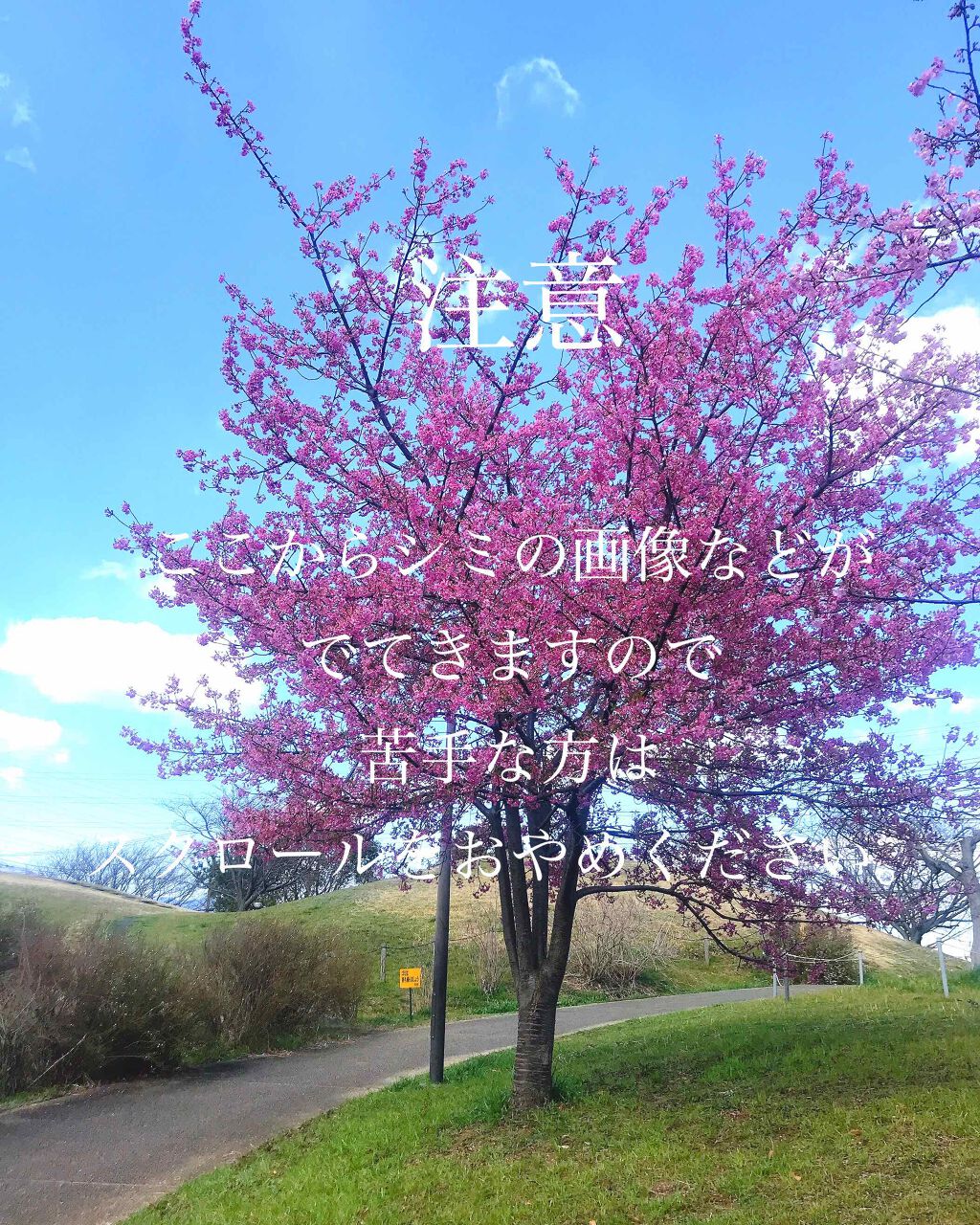 ブライトニングフォーミュラ/メコゾーム/フェイスクリームを使ったクチコミ（2枚目）