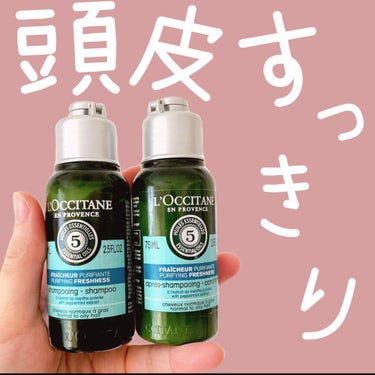 ファイブハーブス ピュアフレッシュネス シャンプー／コンディショナー/L'OCCITANE/シャンプー・コンディショナーを使ったクチコミ（1枚目）