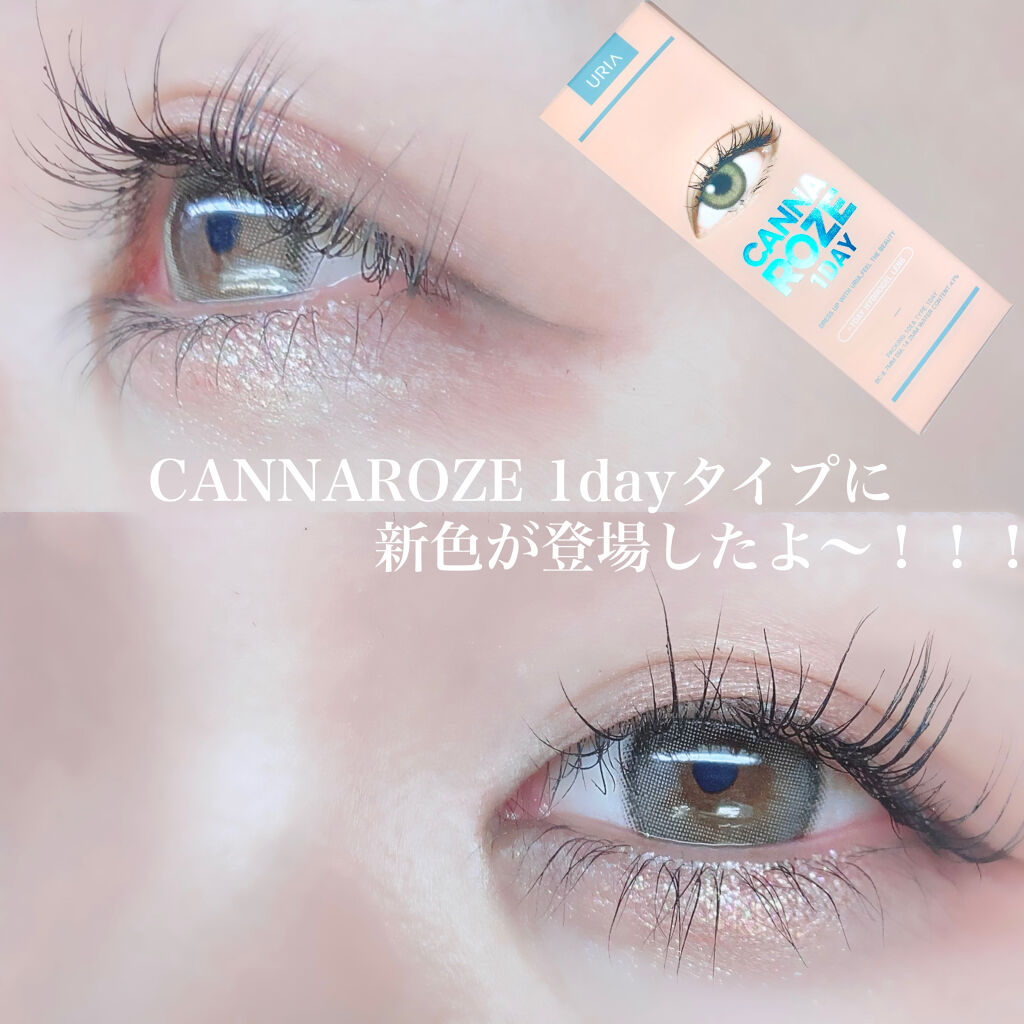 ニューアテンプトシャドウパレット/SISTER ANN/アイシャドウパレットを使ったクチコミ（1枚目）