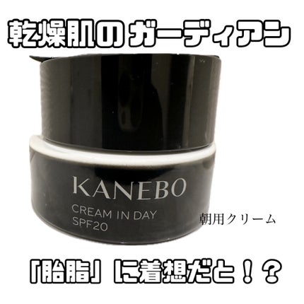 クリーム イン デイ/KANEBO/フェイスクリームを使ったクチコミ(1枚目)