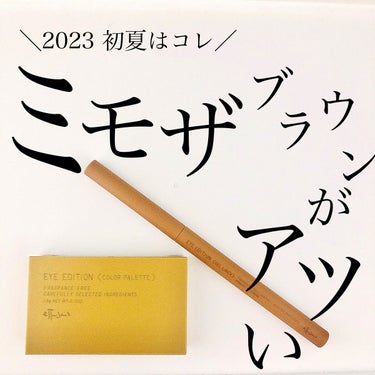 アイエディション(カラーパレット) 13 ミモザスパークル/ettusais/アイシャドウパレットを使ったクチコミ（1枚目）