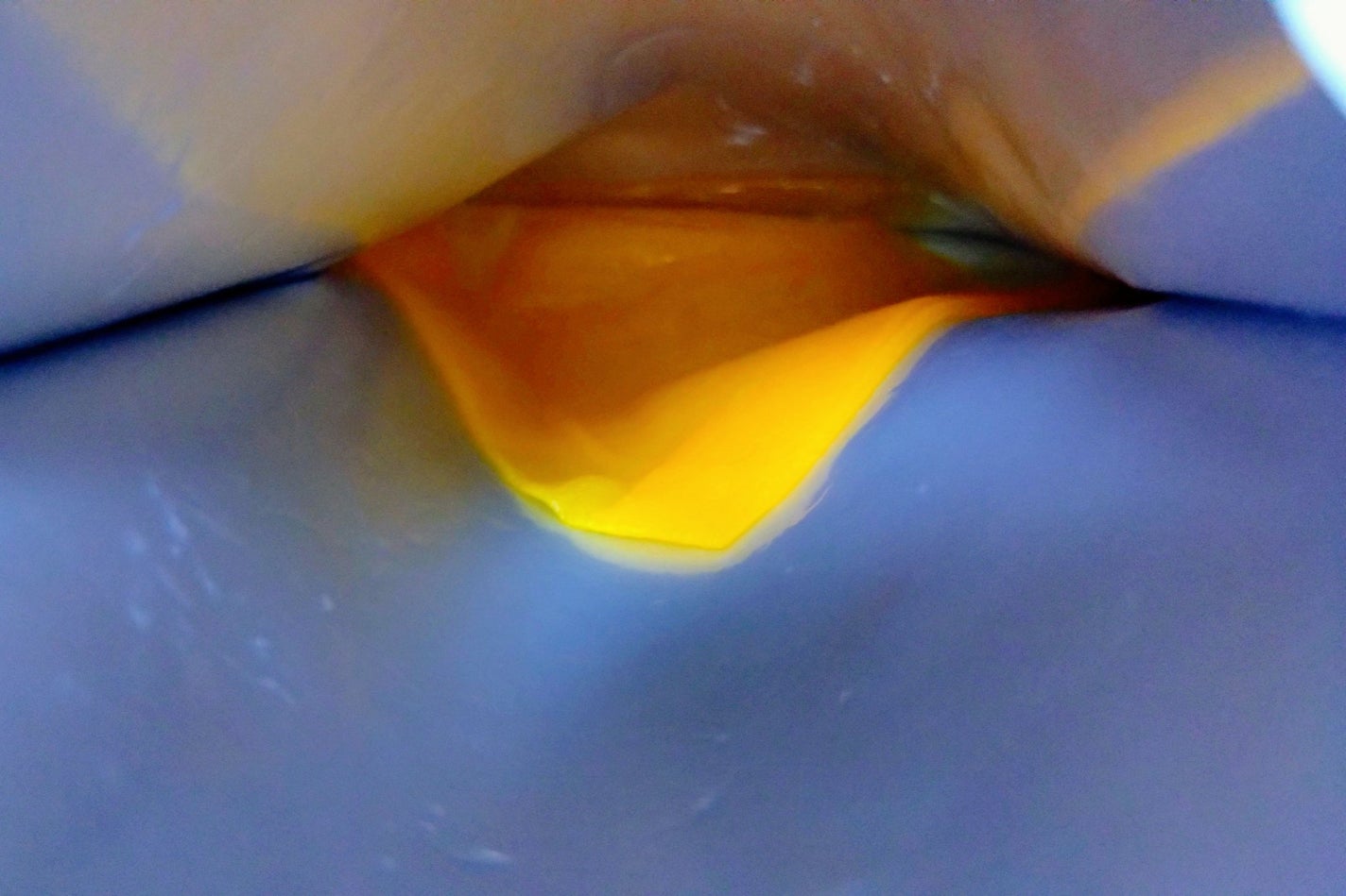 5番 白玉グルタチオンCふりかけマスク/numbuzin/シートマスク・パックを使ったクチコミ(3枚目)