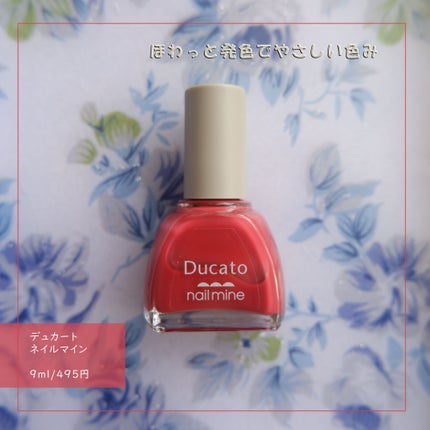 ãã€ã«ãã€ã³/ãã¥ã«ãŒã/ãããã¥ã¢ã䜿ã£ãã¯ãã³ãïŒ1æç®ïŒ