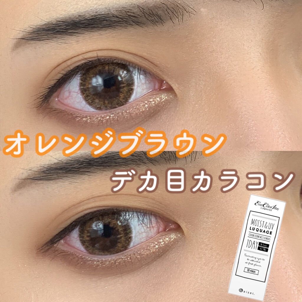 エバーカラーワンデー ルクアージュ フォギーショコラ/エバーカラー/ワンデー（１DAY）カラコンを使ったクチコミ（1枚目）