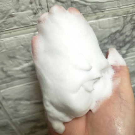 リフターナ 珪藻土酵素洗顔/pdc/洗顔パウダーを使ったクチコミ(2枚目)