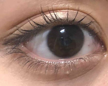 ラッシュジェリードロップ EX/MAJOLICA MAJORCA/まつげ美容液を使ったクチコミ(3枚目)