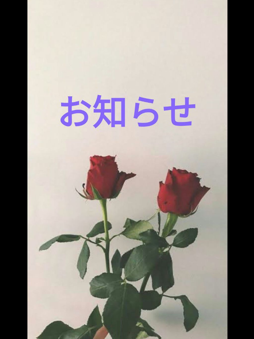 ぱんだです🐼 on LIPS 「今使っているパックなどなどを紹介します。質問がれば何でも質問し..」(1枚目)