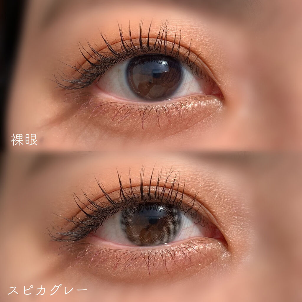 CLARA CONTACT スピカブラウン/グレーのクチコミ「\CLARA CONTACT スピカグレー/

CLARACONTACT様にいただきました🌼
.....」（2枚目）