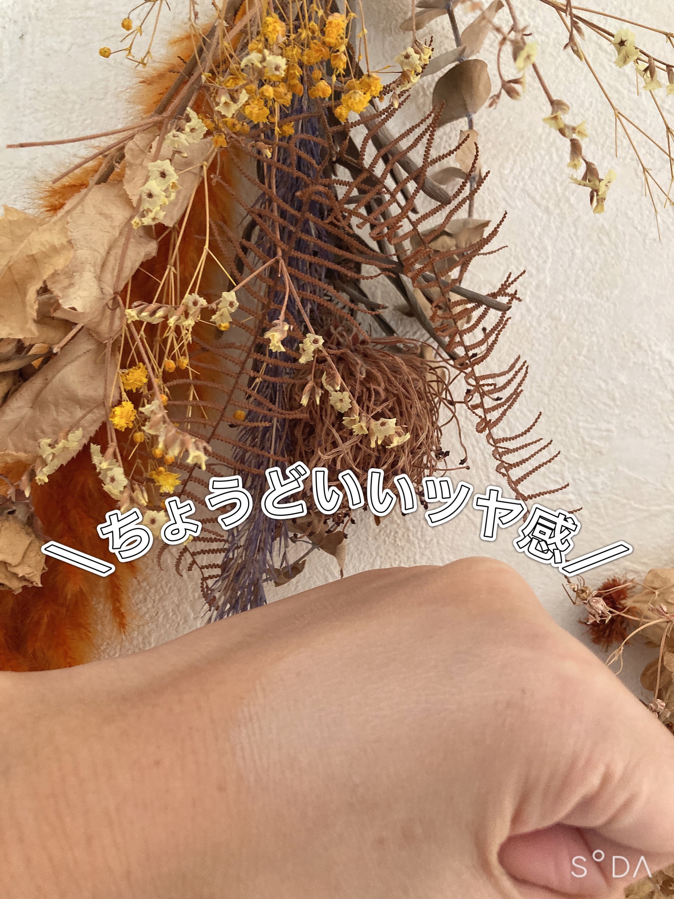 オーガニックアクア エアレスクッション ナチュラビオール/bior oraganics/クッションファンデーションを使ったクチコミ（2枚目）