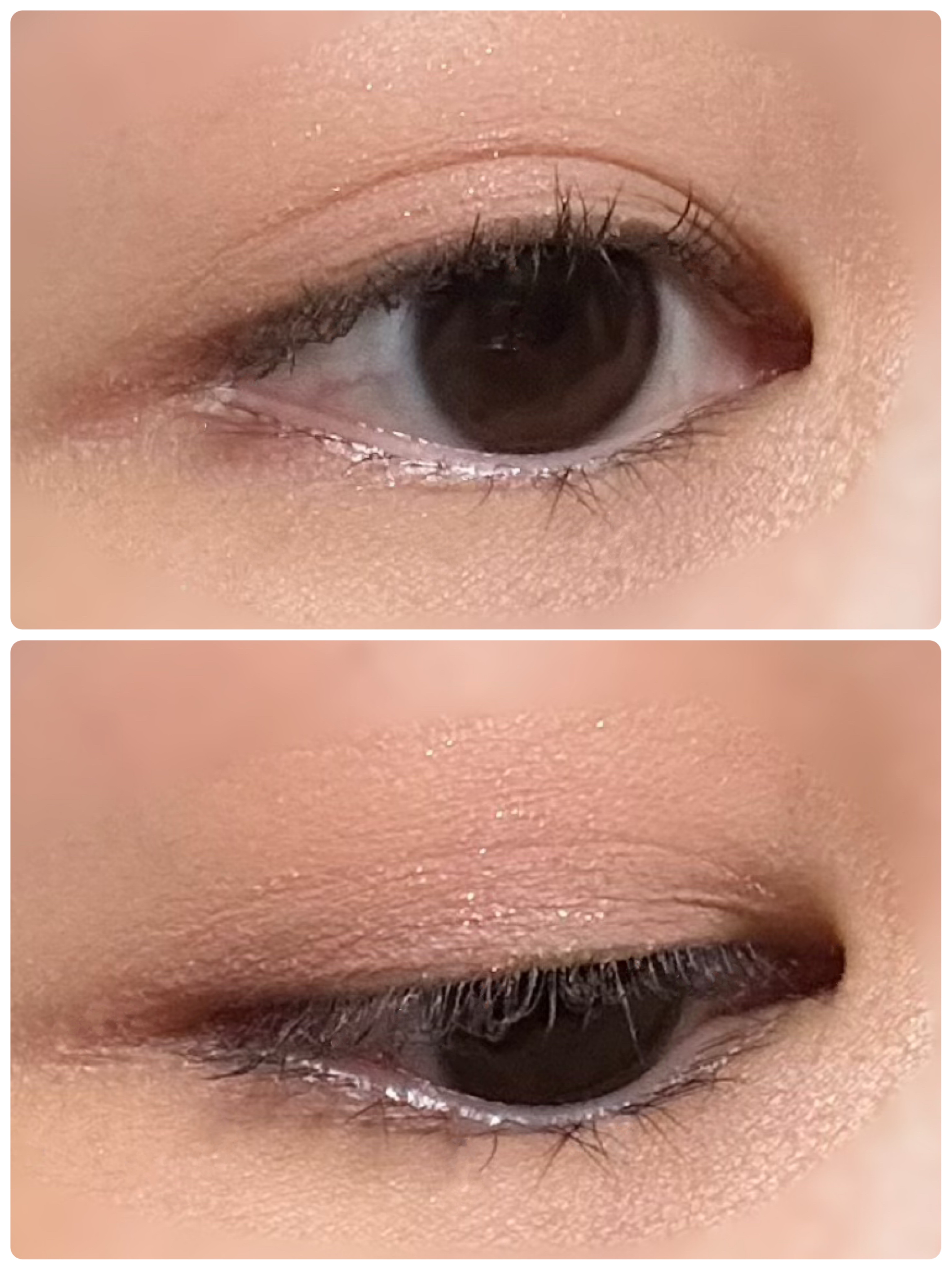 シャドーフラッシュ /MAJOLICA MAJORCA/アイシャドウパレットを使ったクチコミ（2枚目）