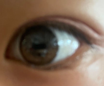 Secretive Kristen 1day/Hapa kristin/ワンデー(1DAY)カラコンを使ったクチコミ(2枚目)