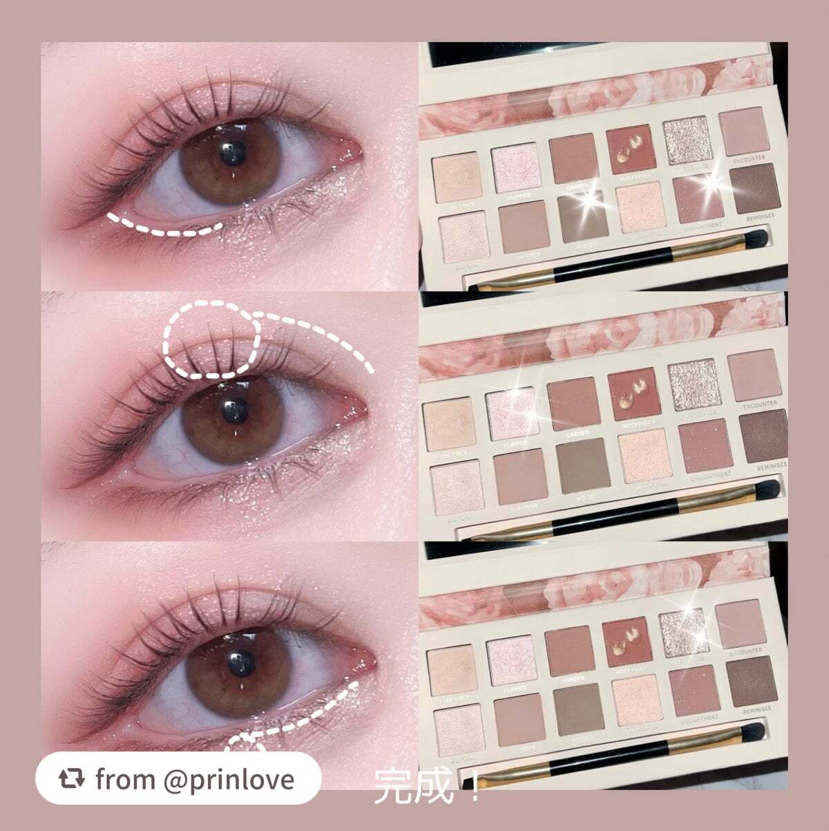 エクスプローラ12色 動物アイシャドウパレット/PERFECT DIARY/アイシャドウパレットを使ったクチコミ(5枚目)