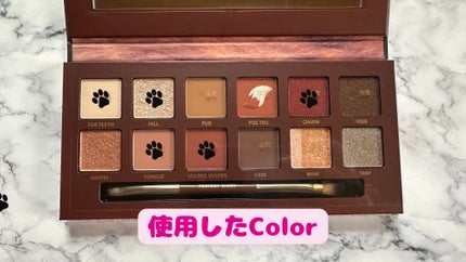 エクスプローラ12色 動物アイシャドウパレット/PERFECT DIARY/アイシャドウパレットを使ったクチコミ(3枚目)