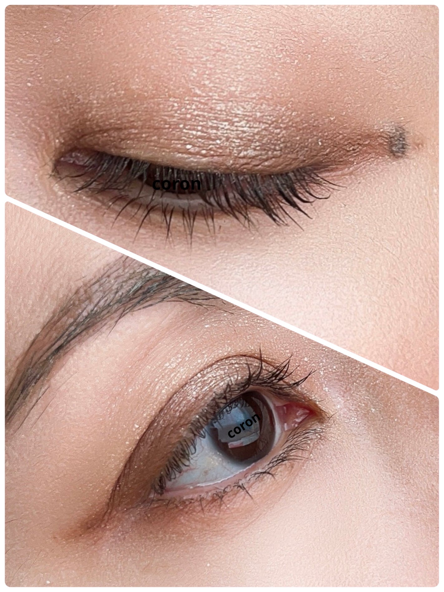 ã¢ãã£ã¯ã·ã§ã³ ã¶ ã¢ã€ã·ã£ããŠ/ADDICTION/åè²ã¢ã€ã·ã£ããŠã䜿ã£ãã¯ãã³ãïŒ2æç®ïŒ