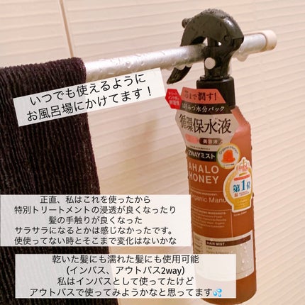 ハイドロ&リペア ジェントル ヘアミスト/AHALO HONEY/プレスタイリング・寝ぐせ直しを使ったクチコミ(3枚目)