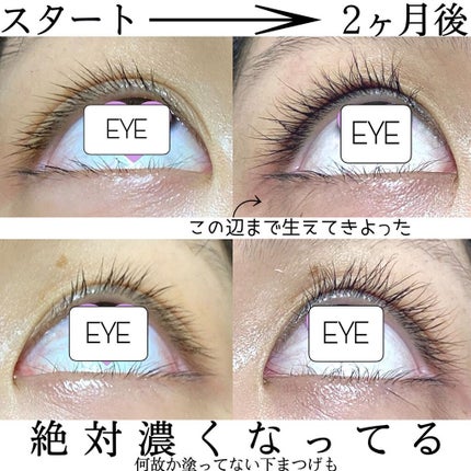 EMAKED(エマーキット)/水橋保寿堂製薬/まつげ美容液を使ったクチコミ(2枚目)