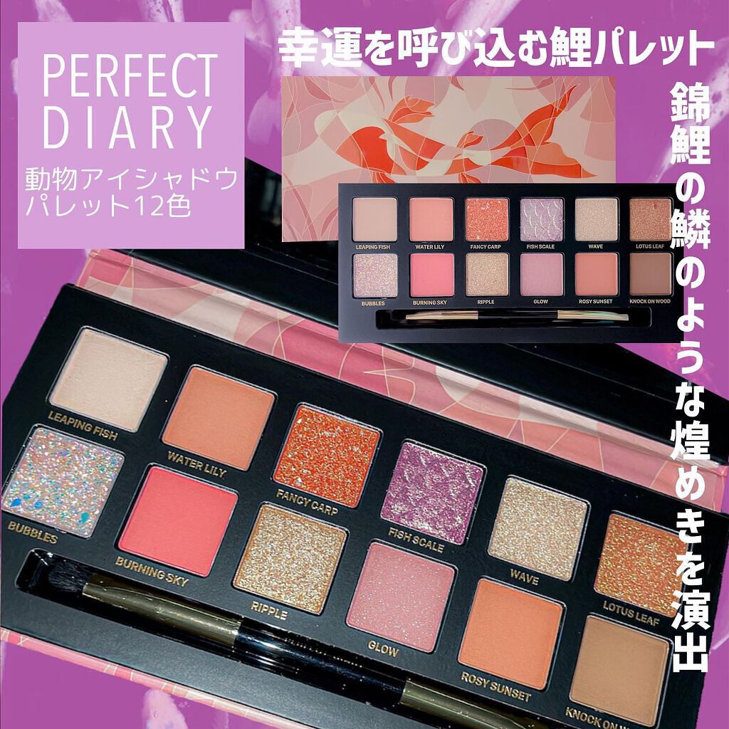 エクスプローラ12色 動物アイシャドウパレット/PERFECT DIARY/アイシャドウパレットを使ったクチコミ（1枚目）