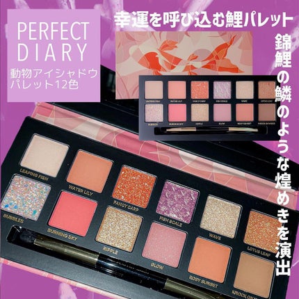 エクスプローラ12色 動物アイシャドウパレット/PERFECT DIARY/アイシャドウパレットを使ったクチコミ(1枚目)