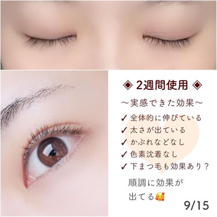 ex アイラッシュセラム/RERUJU(リルジュ)/まつげ美容液を使ったクチコミ(3枚目)