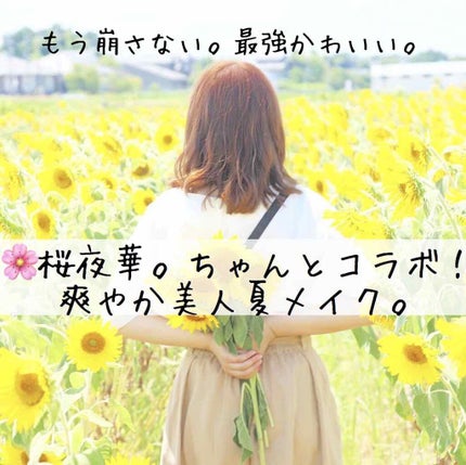 レッツスキン ホワイト ミルククリーム/SHINBEE JAPAN /フェイスクリームを使ったクチコミ(1枚目)