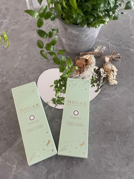 MOLAK 1day/MOLAK/ワンデー(1DAY)カラコンを使ったクチコミ(3枚目)