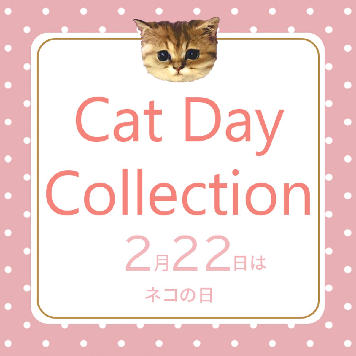 コンパクト I/PAUL & JOE BEAUTE/その他化粧小物を使ったクチコミ(7枚目)