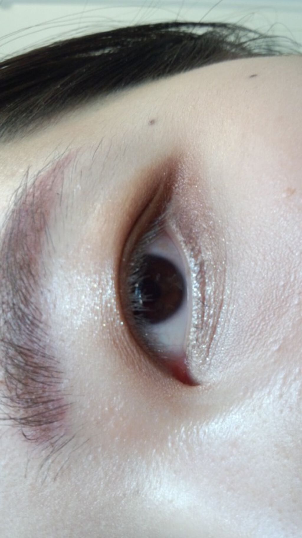 UR GLAM LUXE　12 COLORS EYESHADOW PALLET 04/U R GLAM/アイシャドウパレットを使ったクチコミ（2枚目）