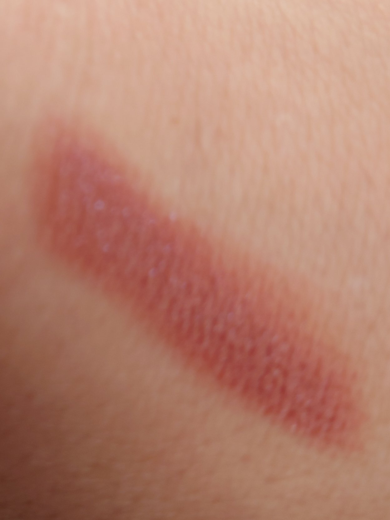 セラムオイルリップスティック  トムとジェリー限定デザイン（ピグピンク）/ミティア オーガニック/口紅を使ったクチコミ（3枚目）