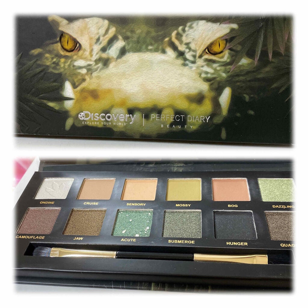 エクスプローラ12色 動物アイシャドウパレット/PERFECT DIARY/アイシャドウパレットを使ったクチコミ(4枚目)