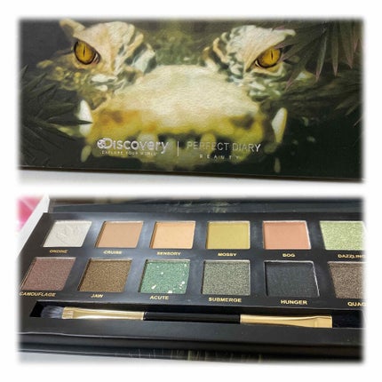 エクスプローラ12色 動物アイシャドウパレット/PERFECT DIARY/アイシャドウパレットを使ったクチコミ(4枚目)