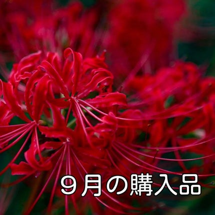 ããã©ã«ã¢ã€ããŒã /ãšããŽã©ã¹/ãžã§ã«ã»ã¯ãªãŒã ã¢ã€ã·ã£ããŠã䜿ã£ãã¯ãã³ãïŒ1æç®ïŒ