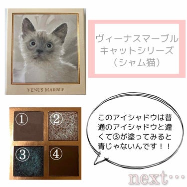 Venus Marble アイシャドウキャットシリーズ/Venus Marble/パウダーアイシャドウを使ったクチコミ（2枚目）