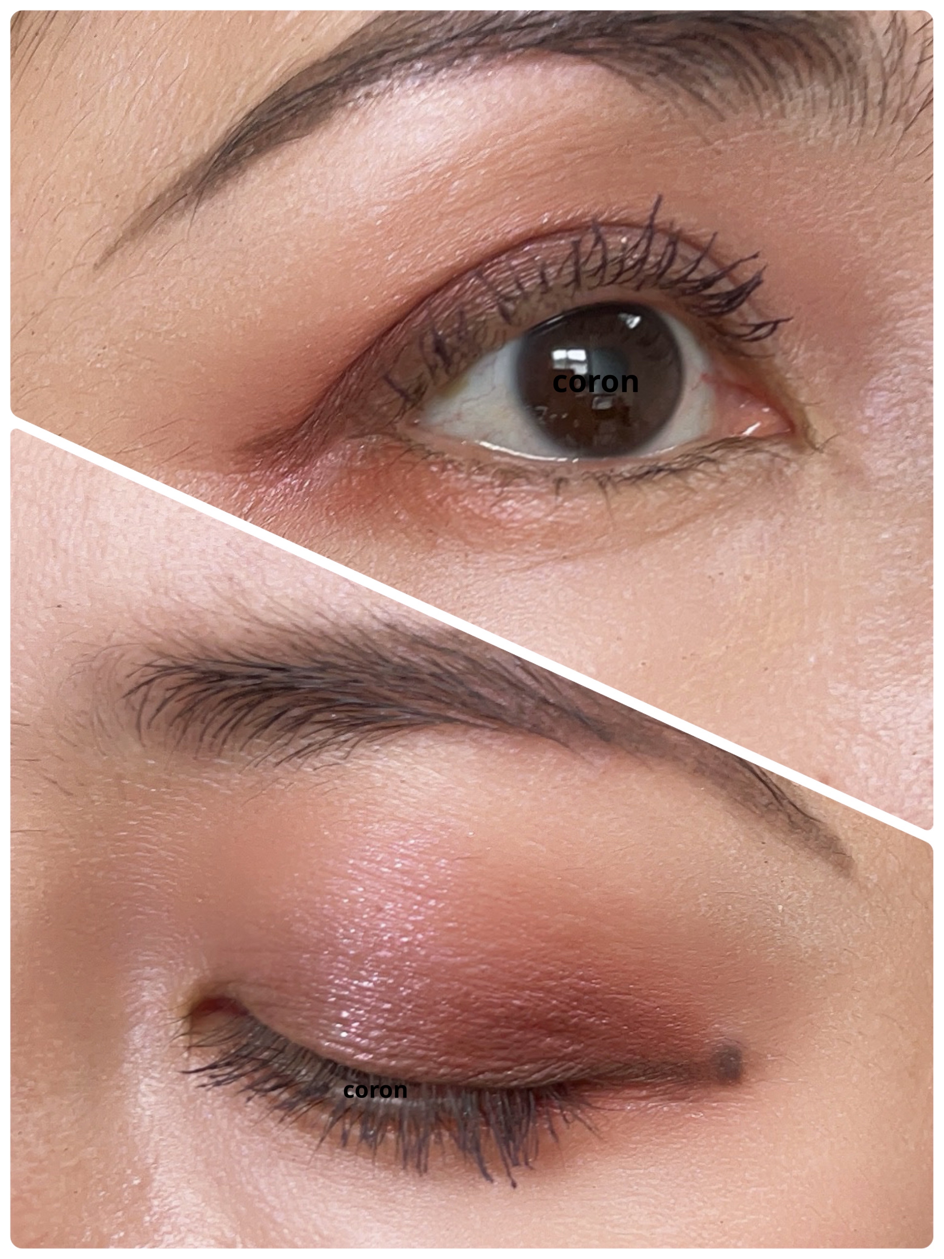 エクストラボリューム カラーマスカラ/Amplitude/マスカラを使ったクチコミ（2枚目）