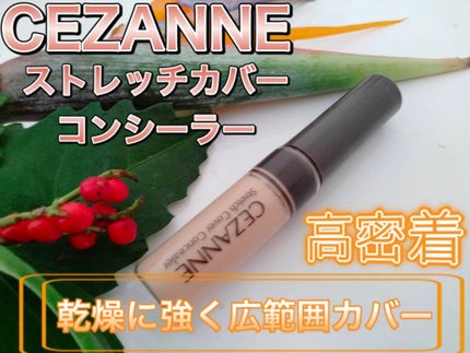 ストレッチカバーコンシーラー/CEZANNE/リキッドコンシーラーを使ったクチコミ(1枚目)