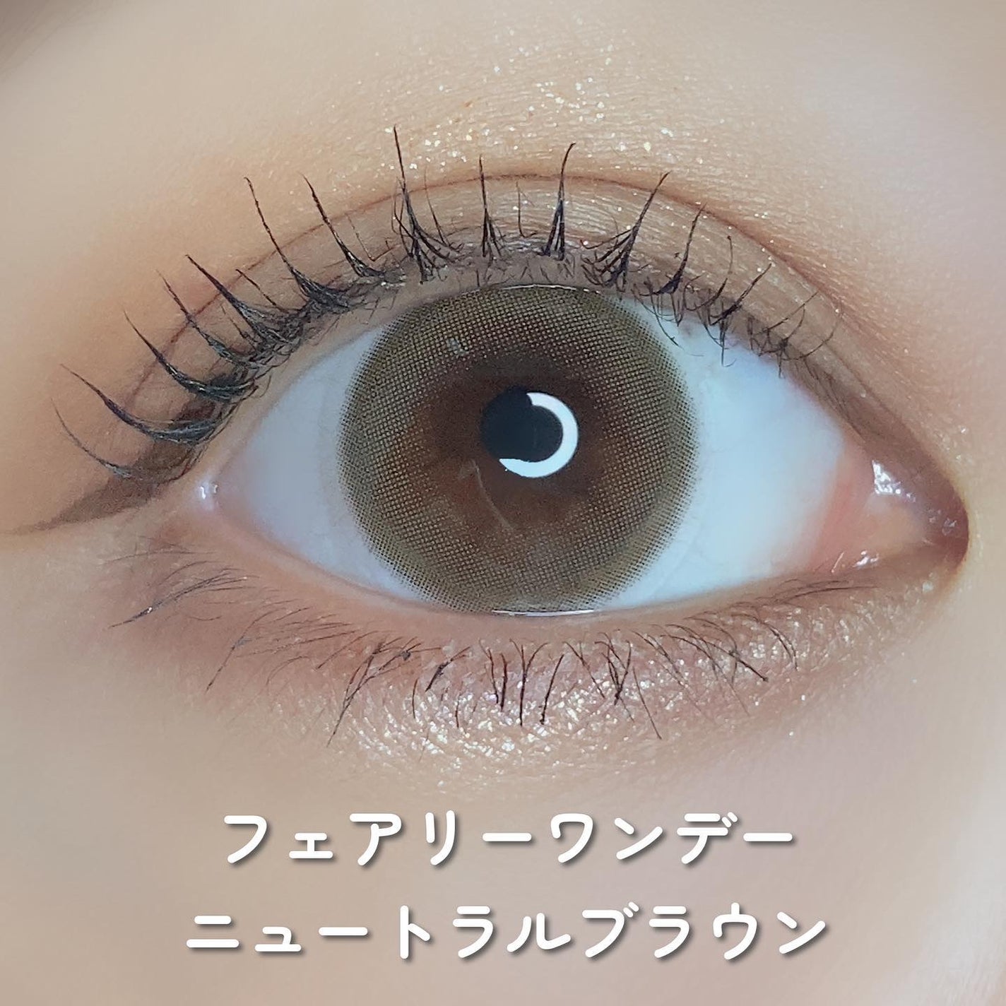 フェアリー ワンデー ニュートラルシリーズ/FAIRY/ワンデー(1DAY)カラコンを使ったクチコミ(2枚目)