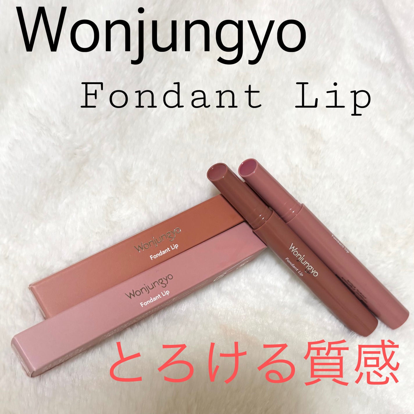 ウォンジョンヨ フォンダンリップ/Wonjungyo/口紅を使ったクチコミ(1枚目)