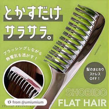 【umiumiumさんから引用】

“乾燥に気になる季節に髪の静電気対策しましょ💇‍♀️✨

SHOBIDO
フラットヘア  デタングルコーム
¥1,320(税込)

こんにちは！うみかです！
いつも♡