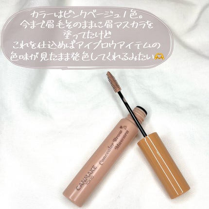 コンシーラーブロウマスカラ/キャンメイク/その他アイブロウを使ったクチコミ(4枚目)