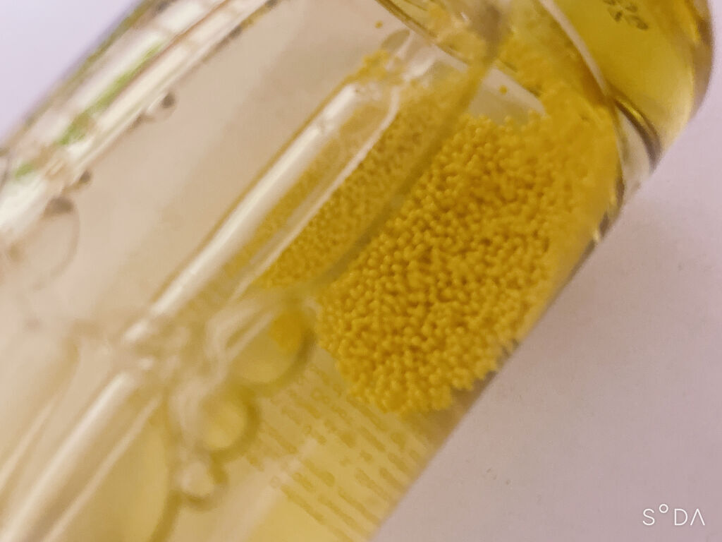 ルミナスセラム メルティングビタ/Abib /美容液を使ったクチコミ（2枚目）