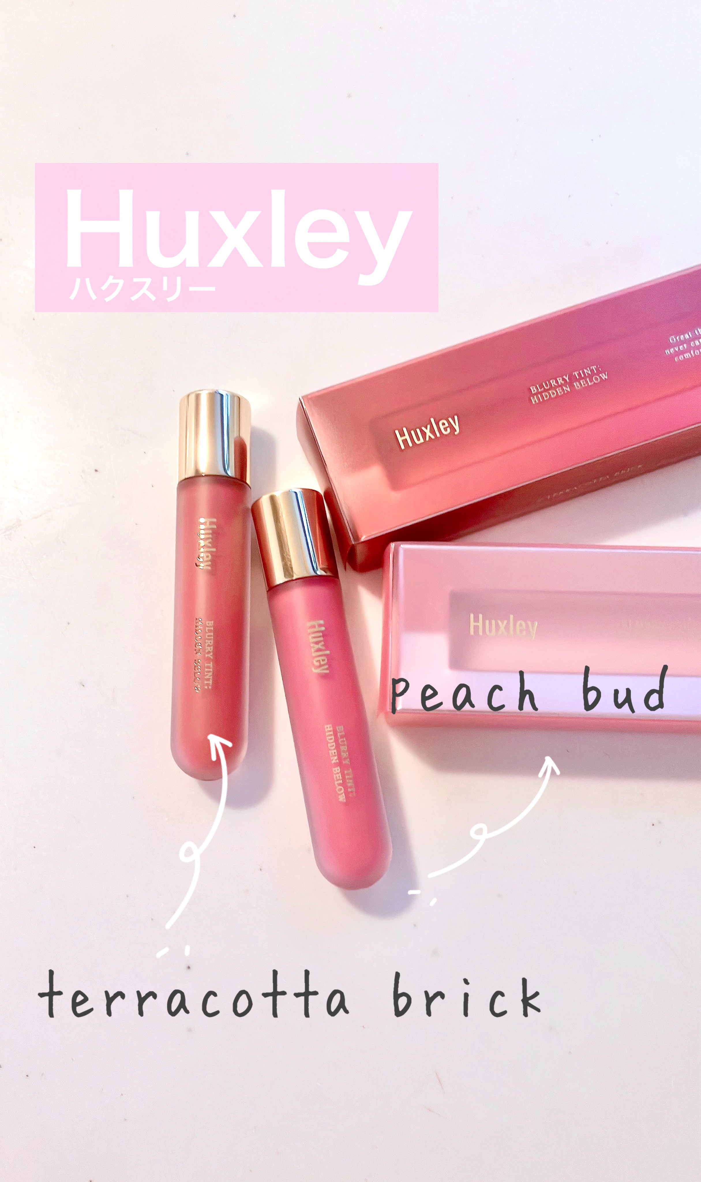 ブラーリーティント ヒドゥンビロウ/Huxley/リップティントを使ったクチコミ（1枚目）