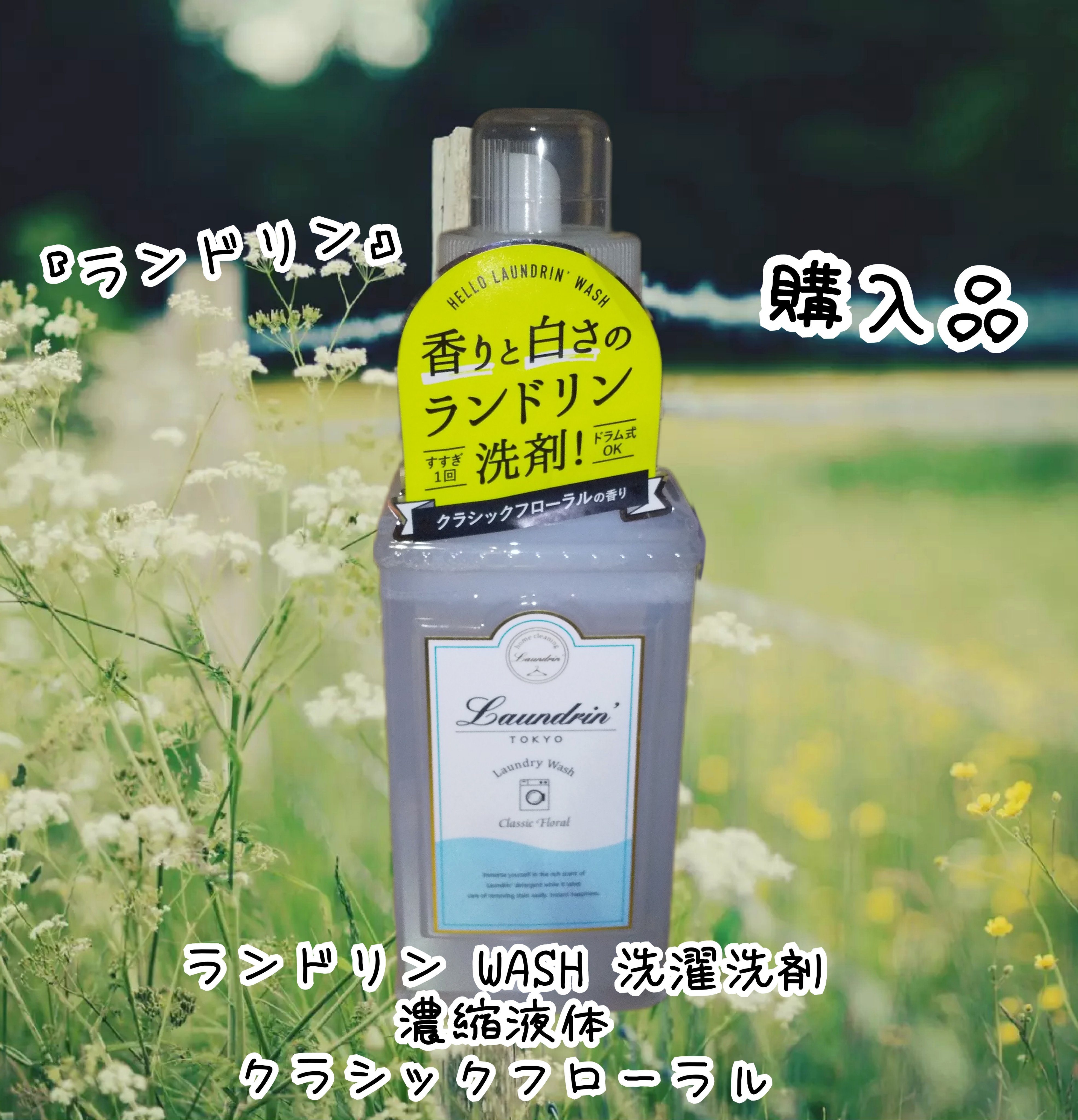 ランドリン ランドリン WASH 洗濯洗剤 濃縮液体 クラシックフローラルのクチコミ「おはようございます🥱然夏です😉👍✨
5月9日木曜日🐾7時1分🐾晴れ☀


#ランドリン#購入品.....」（1枚目）