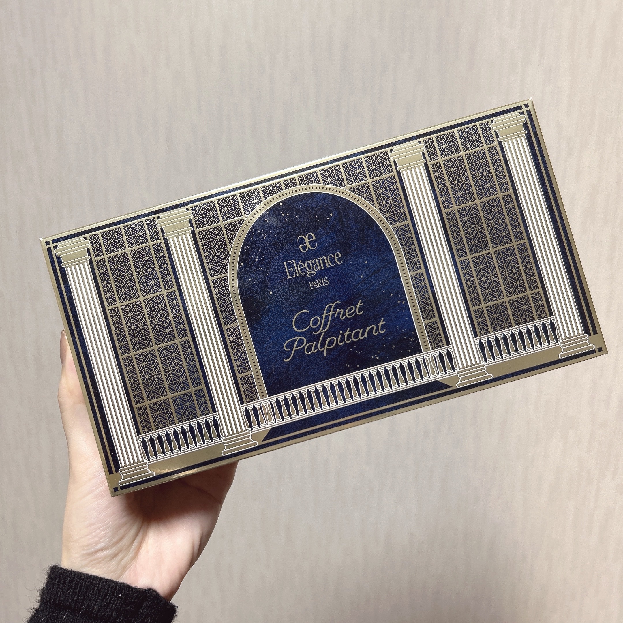 エレガンス コフレ パルピタン/Elégance/メイクアップキットを使ったクチコミ（1枚目）