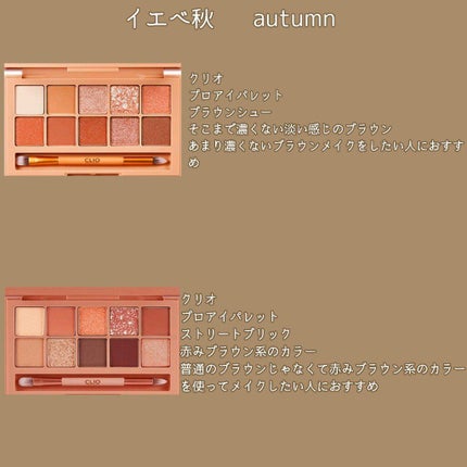 プロ アイ パレット/CLIO/アイシャドウパレットを使ったクチコミ(4枚目)