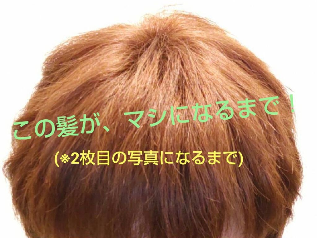 エクストラオーディナリー オイル ラ クレム ラヴォン クレンジング クリーム しっとり/ロレアル パリ/頭皮クレンジングを使ったクチコミ(1枚目)