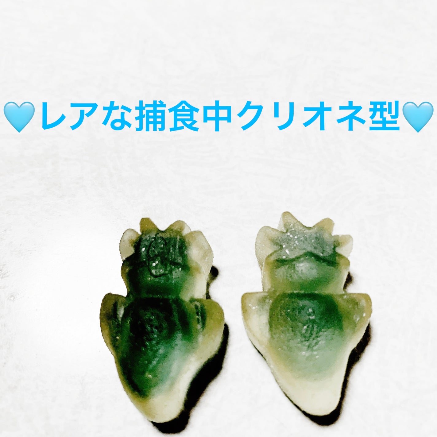 åã¡ããð on LIPS ãäžäºå®¶ãã¯ãªãªãã°ãð©µæµæ°ŽãœãŒãå³ð©µãå
容é:43gãçšæã1..ãïŒ4æç®ïŒ