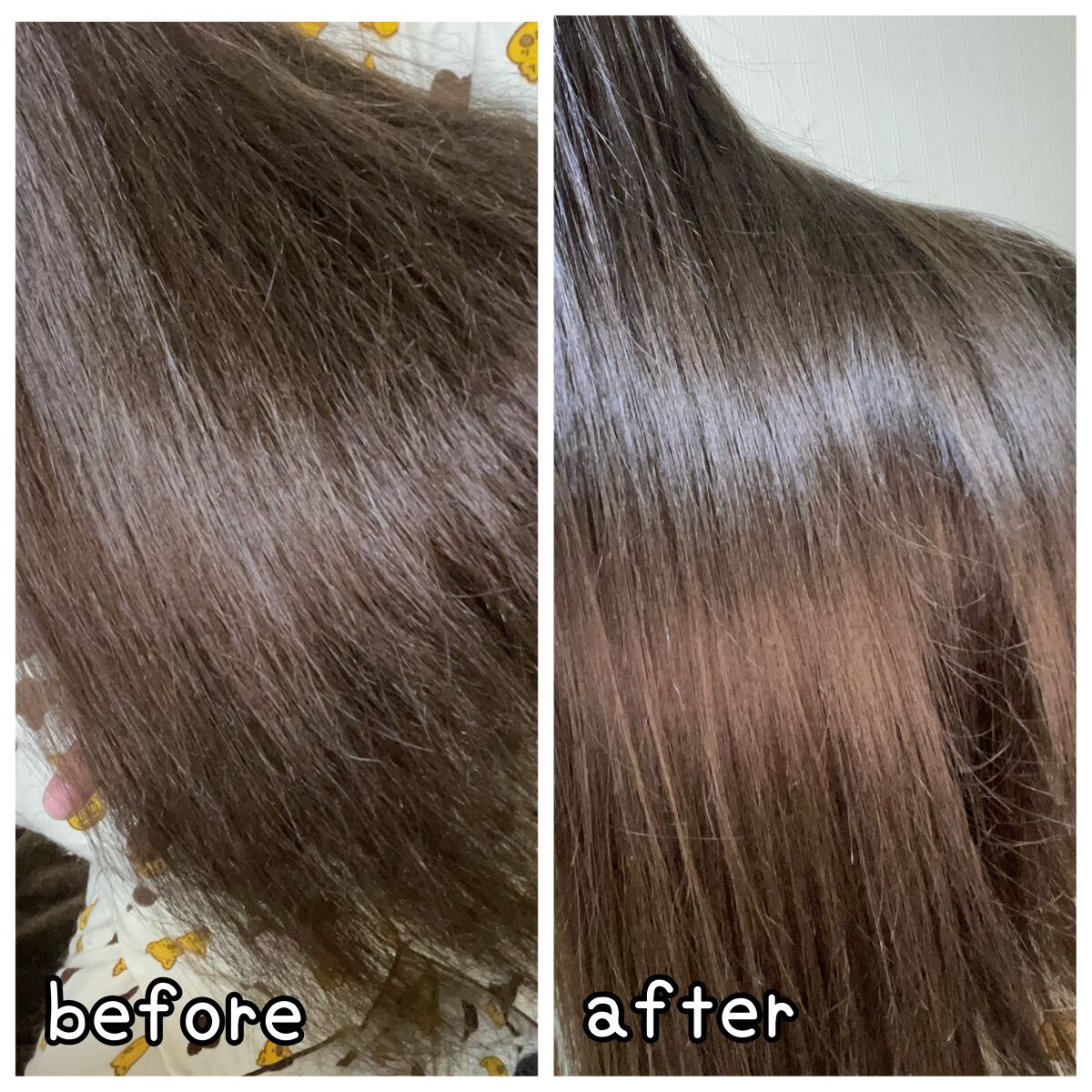 ヘアビューロン4D Plus[ストレート]｜Bioprogrammingの使い方を徹底