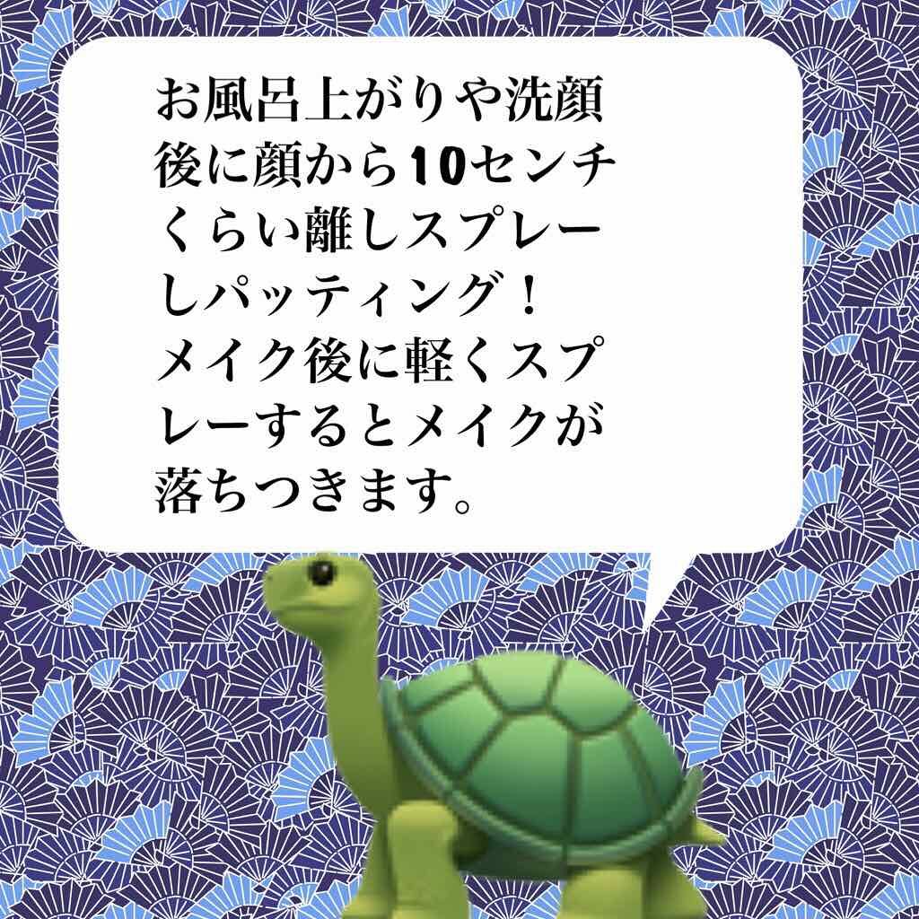 有馬温泉 炭酸泉ミスト/カメ印/ミスト状化粧水を使ったクチコミ(3枚目)