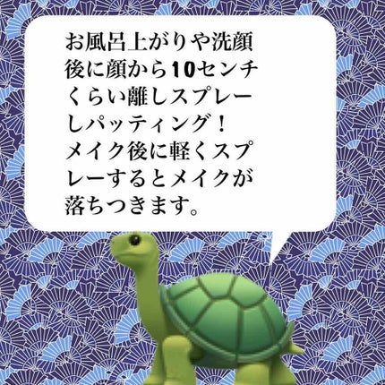 有馬温泉 炭酸泉ミスト/カメ印/ミスト状化粧水を使ったクチコミ(3枚目)