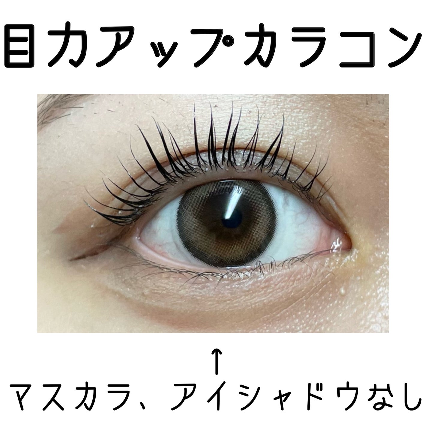 melotte 1day/melotte/ワンデー(1DAY)カラコンを使ったクチコミ(1枚目)